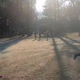 クロカン　１組目②の画像