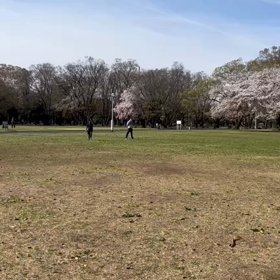 4月2日 ジャベリックボール投げ①の画像
