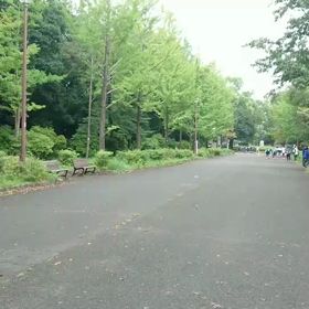 9月21日 100mCグループ(男子選考会)④の画像