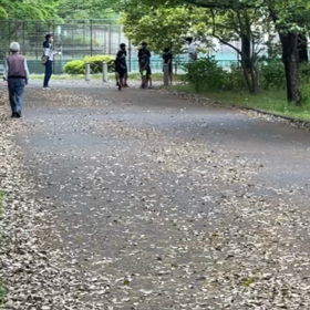 リレー選考会(男子)中間付近⑧の画像