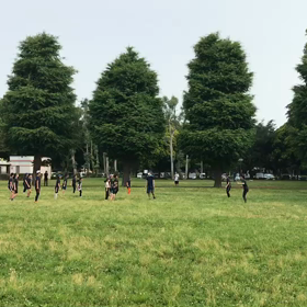 バランス・大股歩行⑨の画像