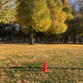 1000m第１組目②の画像