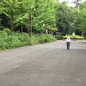 100m記録会 Aグループ⑨の画像