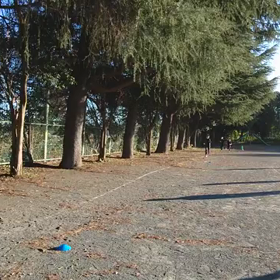 襷練習⑧の画像