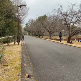越谷春季記録会男子リレー選考会②の画像