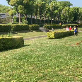 往復ダッシュ⑤の画像