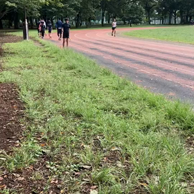 リレー特別練  習(9月27日)⑭の画像