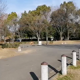 川越練習　1500m③の画像