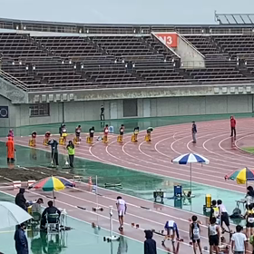男子６年100m予選②の画像