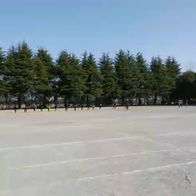 3/11学年別インターバル⑧の画像