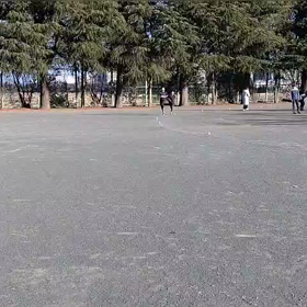 東金子駅伝選考会⑭の画像