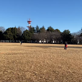 100m記録会(Bグループ)②の画像