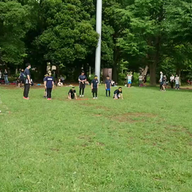 ダッシュ(黄色チーム)①の画像