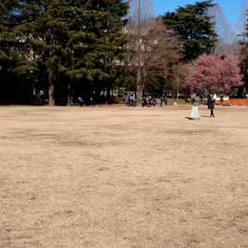特別練習 B 学年別インターバル⑯の画像
