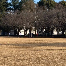 100m記録会(Cグループ)②の画像
