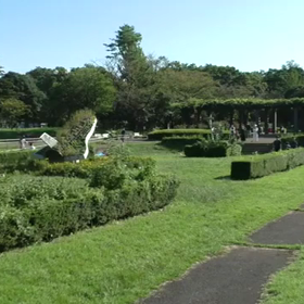 選考会後のリレー(第１レース)③の画像
