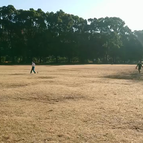ジャベリック⑧の画像
