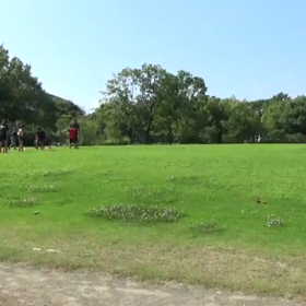 7/17 アクティビティー⑬の画像