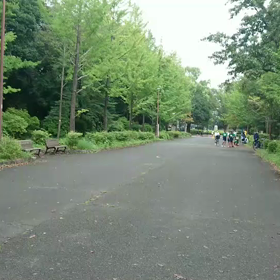 9月21日 100mCグループ(男子選考会)⑤の画像