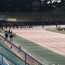 ６年女子100m③の画像