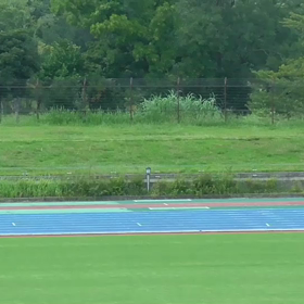 チャレンジトライアル男子1000m４組目ビデオ動画④の画像