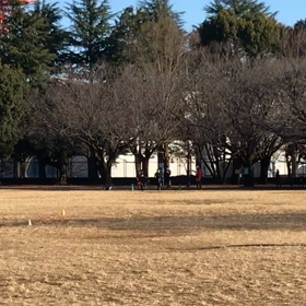 100m記録会(Cグループ)④の画像