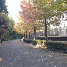 10月29日 1000mゴール③の画像