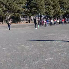 東金子駅伝選考会⑲の画像