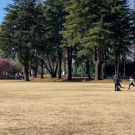 特別練習 B 学年別インターバル⑨の画像