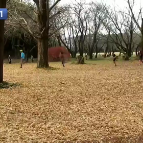 400mインターバル中間点⑤の画像