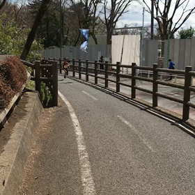 多摩湖最後の上り坂⑦の画像