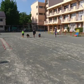 7月30日 ダッシュの場⑦の画像