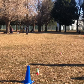 長距離記録会(Gグループ)⑪の画像