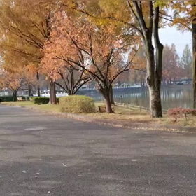 11/23 ミニ駅伝③の画像