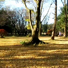 400mインターバル中間点④の画像