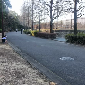 長距離記録会(3月12日) Cグループ ゴール②の画像
