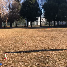 長距離記録会(Gグループ)⑤の画像