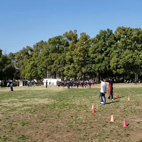 学年別インターバル(折り返し付近)④の画像