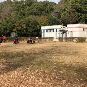低学年リングバトンリレー⑥の画像