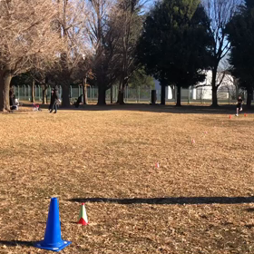 長距離記録会(Gグループ)⑧の画像