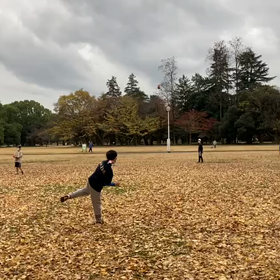 11月26日 ジャベリック①の画像