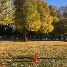 1000m第１組目③の画像