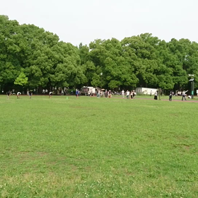 学年別インターバル⑧の画像