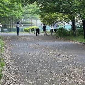 リレー選考会(男子)中間付近⑪の画像