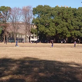 ジャベリック(記録会)⑬の画像