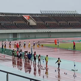 ４年女子80m予選の画像