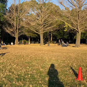 ダッシュ(ピンクチーム)②の画像