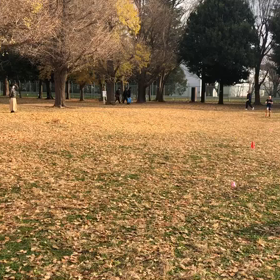1000m２組目&1500m④の画像