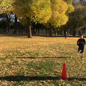 1000m第２組目⑦の画像