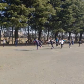 4月2日 バランス⑤の画像